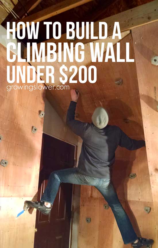 youll have fun with the whole family when you build a home climbing wall